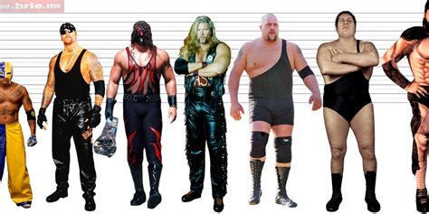 undertaker height|andre the giant real height.